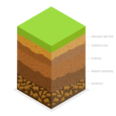 3 D Isometric Flat Vector Conceptual Illustration Of Layer Of Fertile Soil Educational Schema イラスト