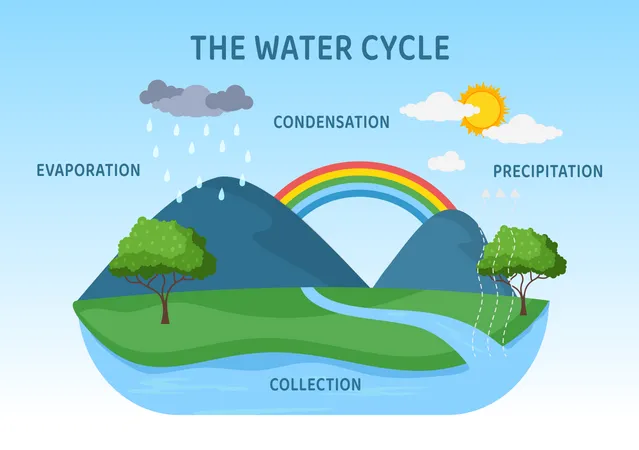 Le cycle terrestre de l'eau  Illustration