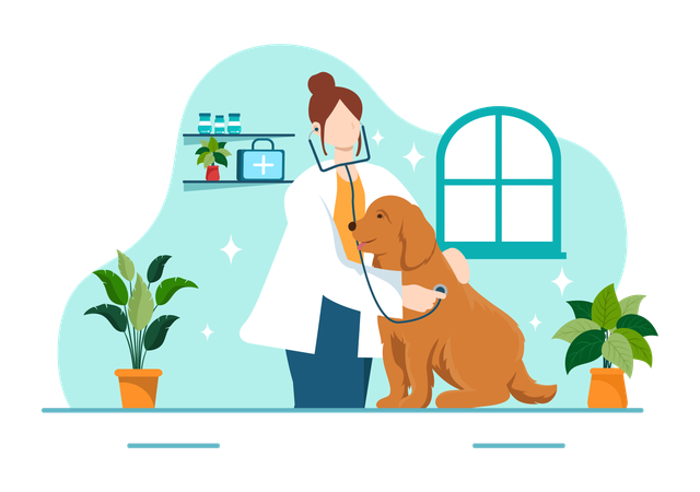 Le docteur soigne le chien  Illustration