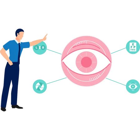 Le garçon montre l'anatomie des yeux  Illustration