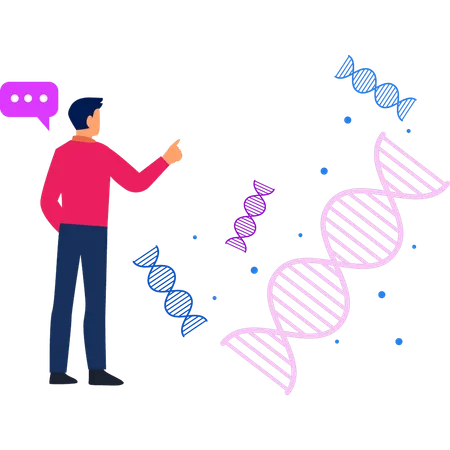 Le garçon montre la structure de l'ADN  Illustration