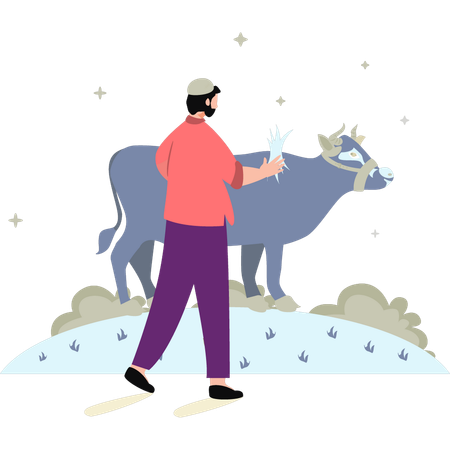 Le garçon nourrit la vache  Illustration