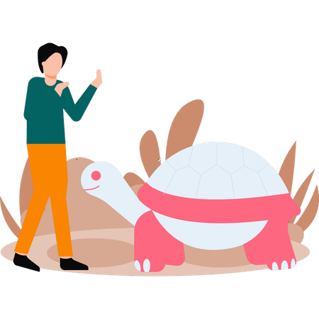 Le garçon regarde la tortue  Illustration