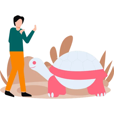 Le garçon regarde la tortue  Illustration