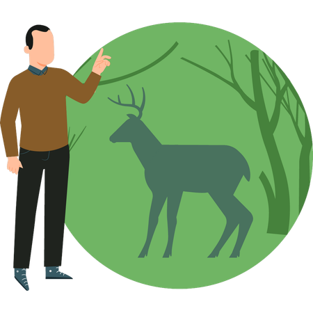 Le garçon regarde le cerf  Illustration