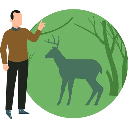 Le garçon regarde le cerf  Illustration