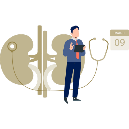 Le médecin rédige un rapport médical sur le rein  Illustration