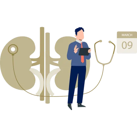 Le médecin rédige un rapport médical sur le rein  Illustration