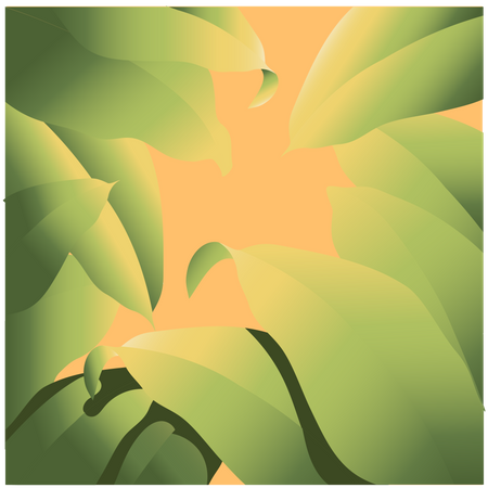 Leaf on forest  Illustration