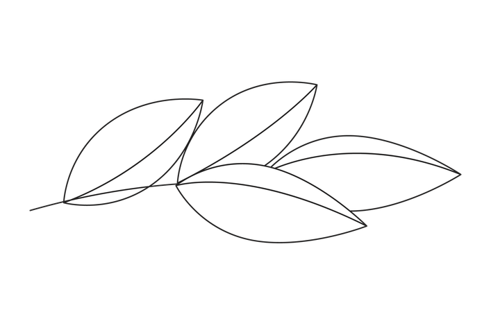 Leaves branch  Illustration