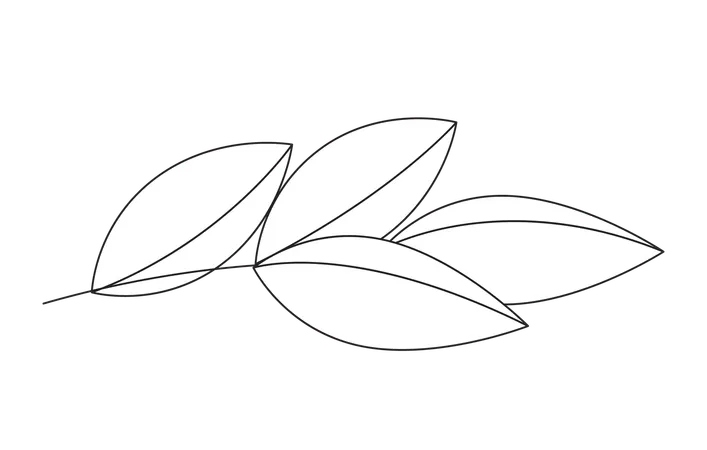 Leaves branch  Illustration