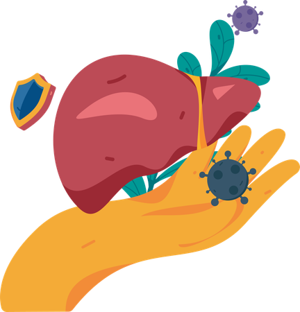 Lebererkrankungen und Krankenversicherung  Illustration