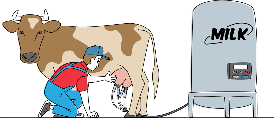 Lechero recogiendo leche de vaca mediante máquina de ordeño  Ilustración