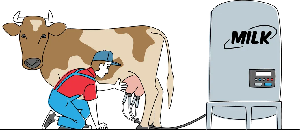 Lechero recogiendo leche de vaca mediante máquina de ordeño  Ilustración