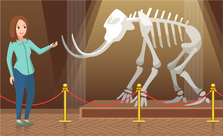 Lehrer erklärt prähistorische Tiere  Illustration