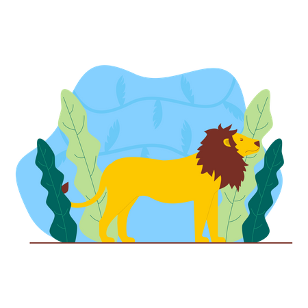 León  Ilustración