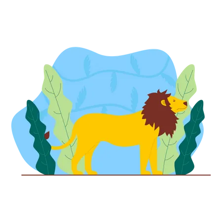 León  Ilustración