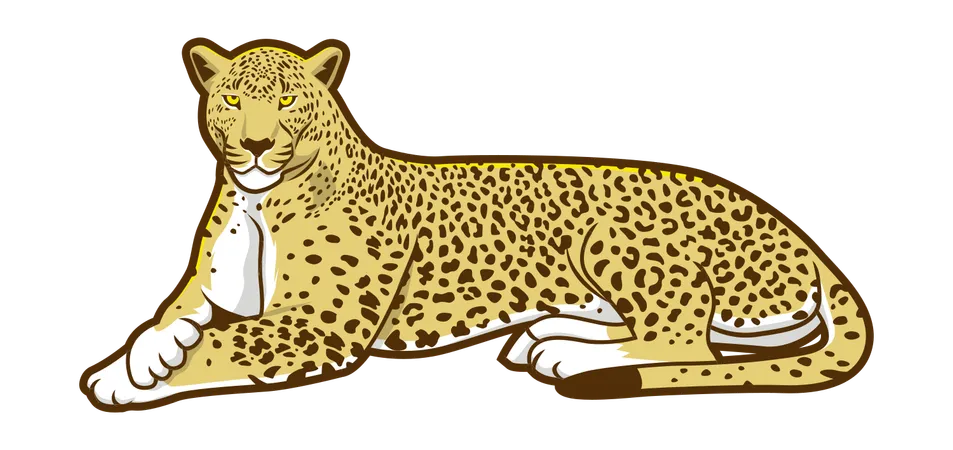 Leopard sitzend  Illustration