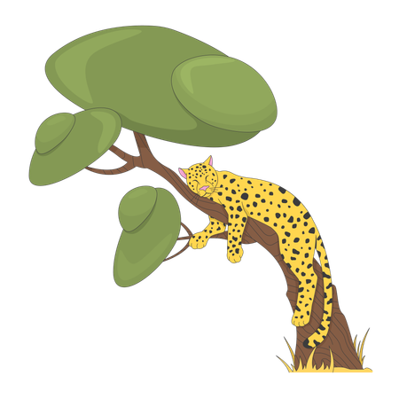 Leopard sleeping on tree  Illustration