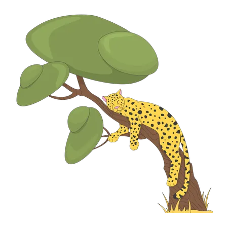 Leopard sleeping on tree  Illustration