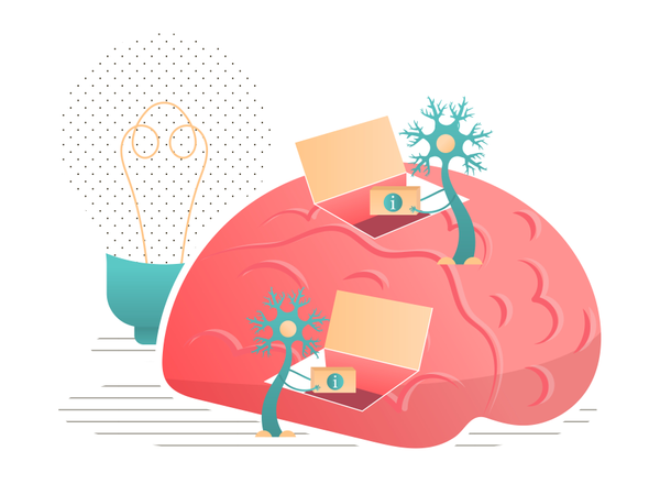 Les neurones transmettent des informations au cerveau  Illustration