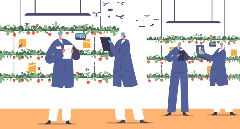 Les travailleurs utilisent la technologie d'automatisation pour la production de fraises  Illustration