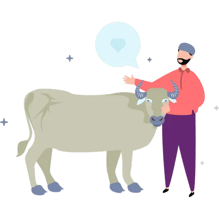 L'homme a une vache  Illustration