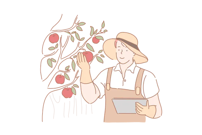 L'homme cueille des fruits frais du jardin  Illustration