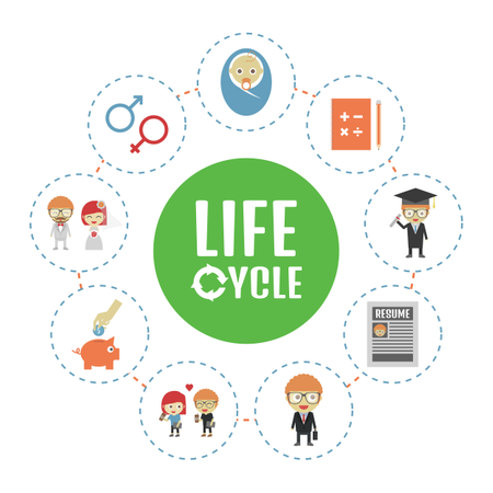 Life Cycle, Isolated On White Background  Illustration