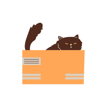 Lindo gato negro gruñón jugando y sentado en una caja de cartón  Illustration