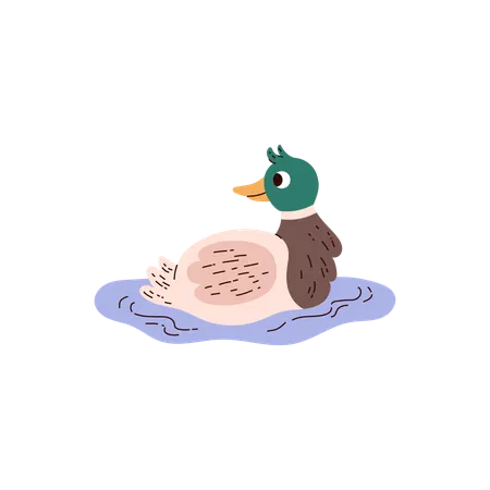 Lindo pato sonriente en el agua  Ilustración