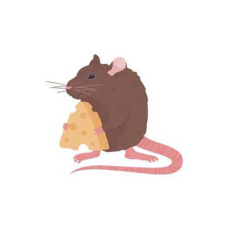 Rato marrom fofo segurando queijo nas patas  Ilustração