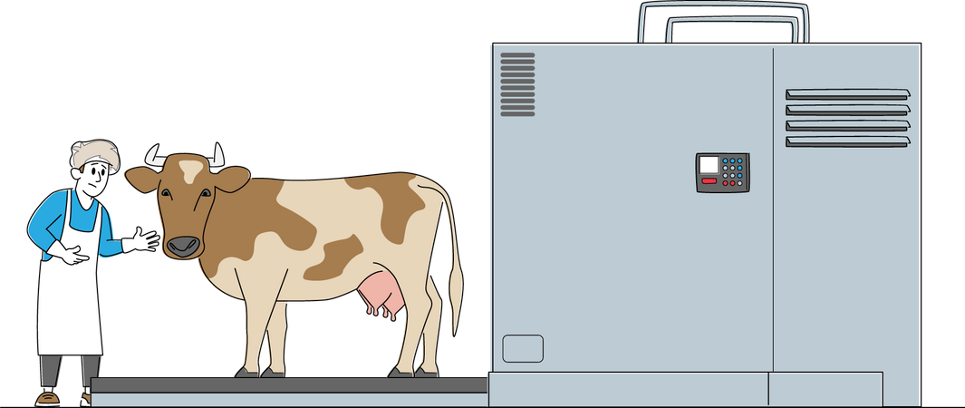 Puesto de vacas en la línea de procesamiento antes de cortar las canales y producir producción de carne vacuna  Ilustración