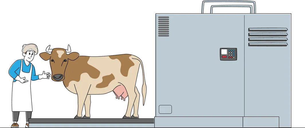 Puesto de vacas en la línea de procesamiento antes de cortar las canales y producir producción de carne vacuna  Ilustración
