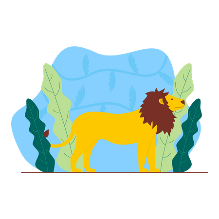 Lion  Illustration