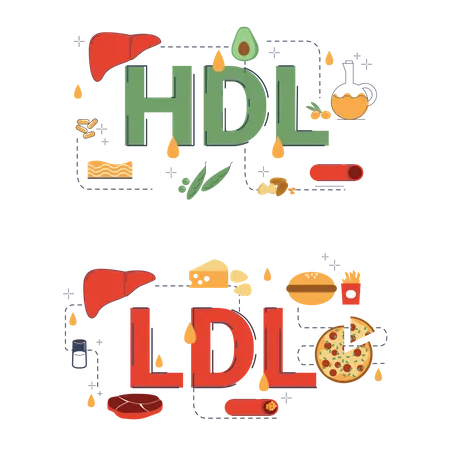 Ilustracion De La Palabra HDL Lipidos De Alta Densidad Y LDL Lipidos De Baja Densidad Con La Decoracion Del Icono Ilustración