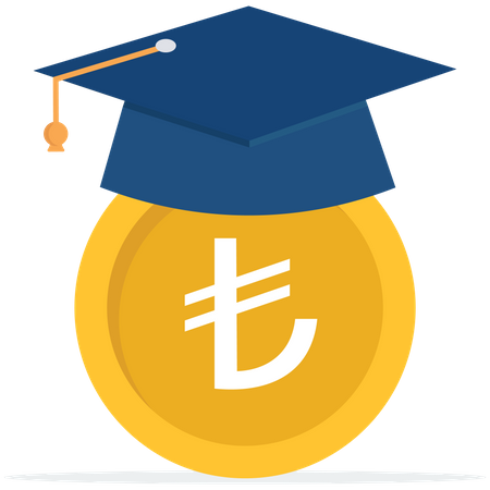 Lira money coin with mortarboard graduation cap and certificate  Illustration