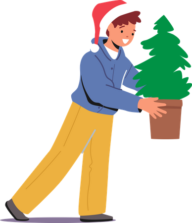 Little boy Carry Potted Fir-Tree  Illustration