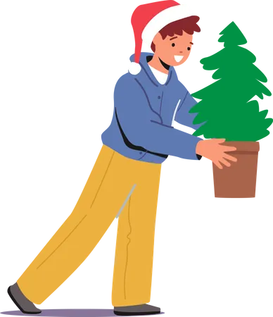 Little boy Carry Potted Fir-Tree  Illustration