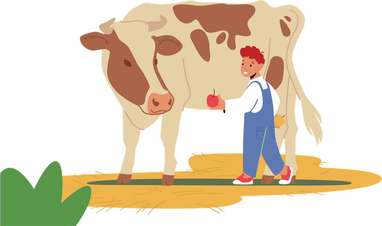Little boy feeding apple to cow Illustration