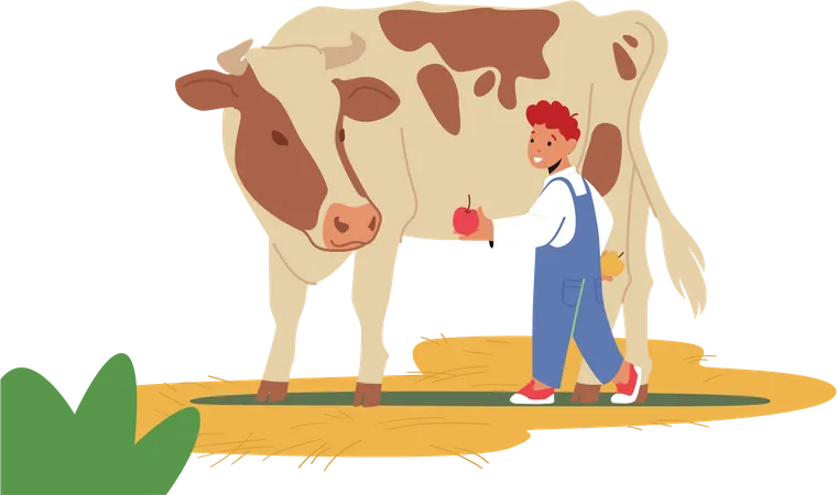 Little boy feeding apple to cow Illustration