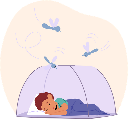 Little boy sleep under net shielded from mosquitoes  Illustration