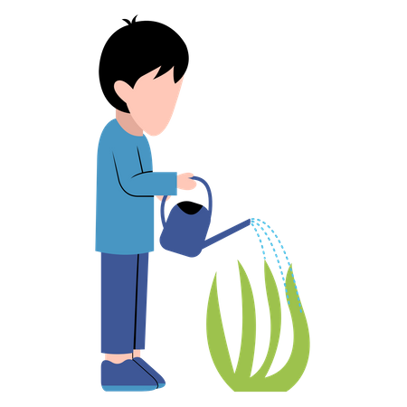 Little Boy Watering Plant  Illustration