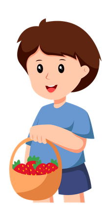 Little Boy With Strawberry Basket  Illustration