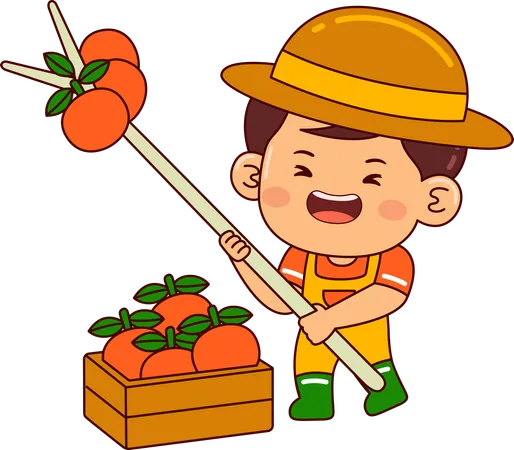 Little farmer boy collecting tomato  Illustration