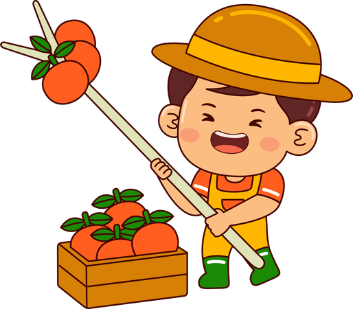 Little farmer boy collecting tomato  Illustration