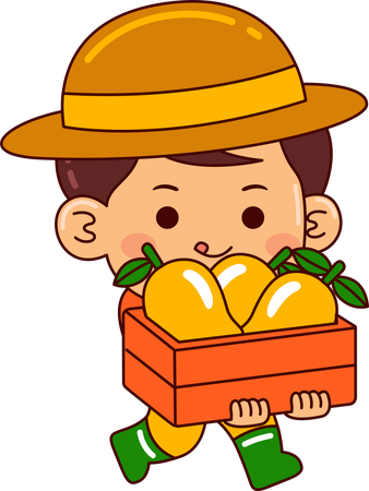 Little farmer boy holding mango bakset  Illustration