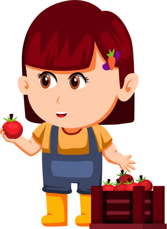 Little Farmer collecting tomato  Illustration
