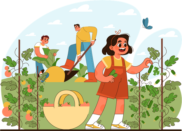 Little girl harvesting tomotoes at farm  Illustration