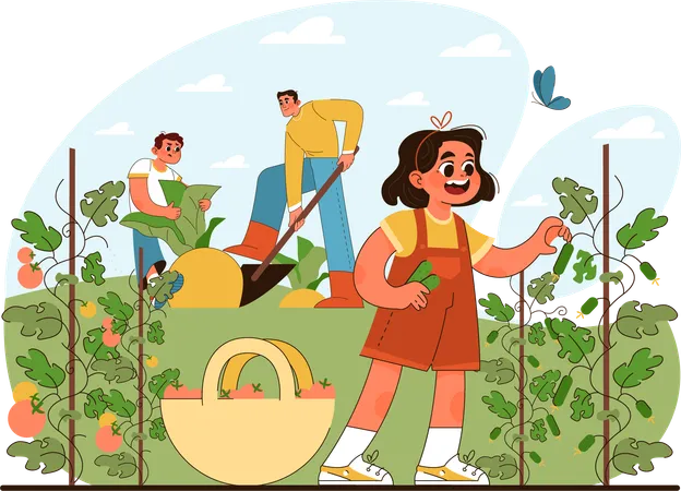 Little girl harvesting tomotoes at farm  Illustration